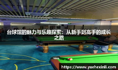 台球馆的魅力与乐趣探索：从新手到高手的成长之路